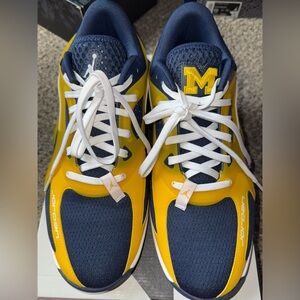 Jordan Heir university Michigan color way, blue and yellow.